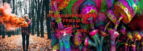 mdma Медвежьегорск